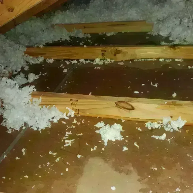 Attic Water Damage in Nanakuli, HI